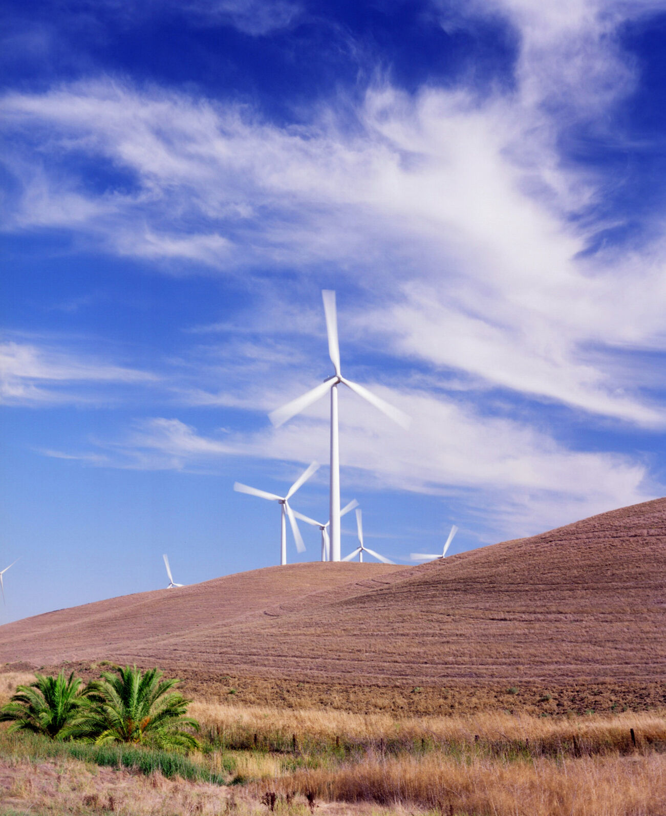Shiloh Turbine
